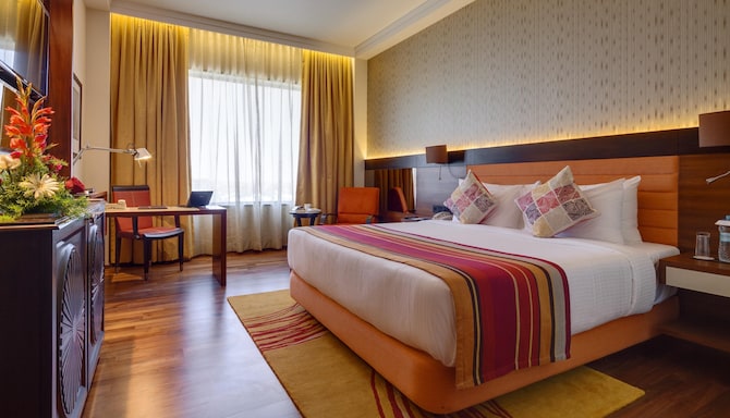 Balaji Sarovar Premiere Solapur - Guest Room