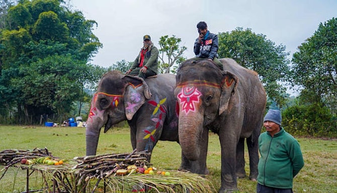 Destination Pages Louvre - South Asia - SAURAHA NEPAL DESKTOP