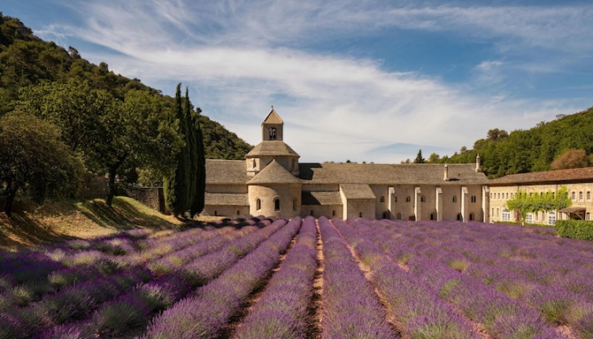 GOLDEN TULIP AVIGNON LE PARADOU - Attraction locale