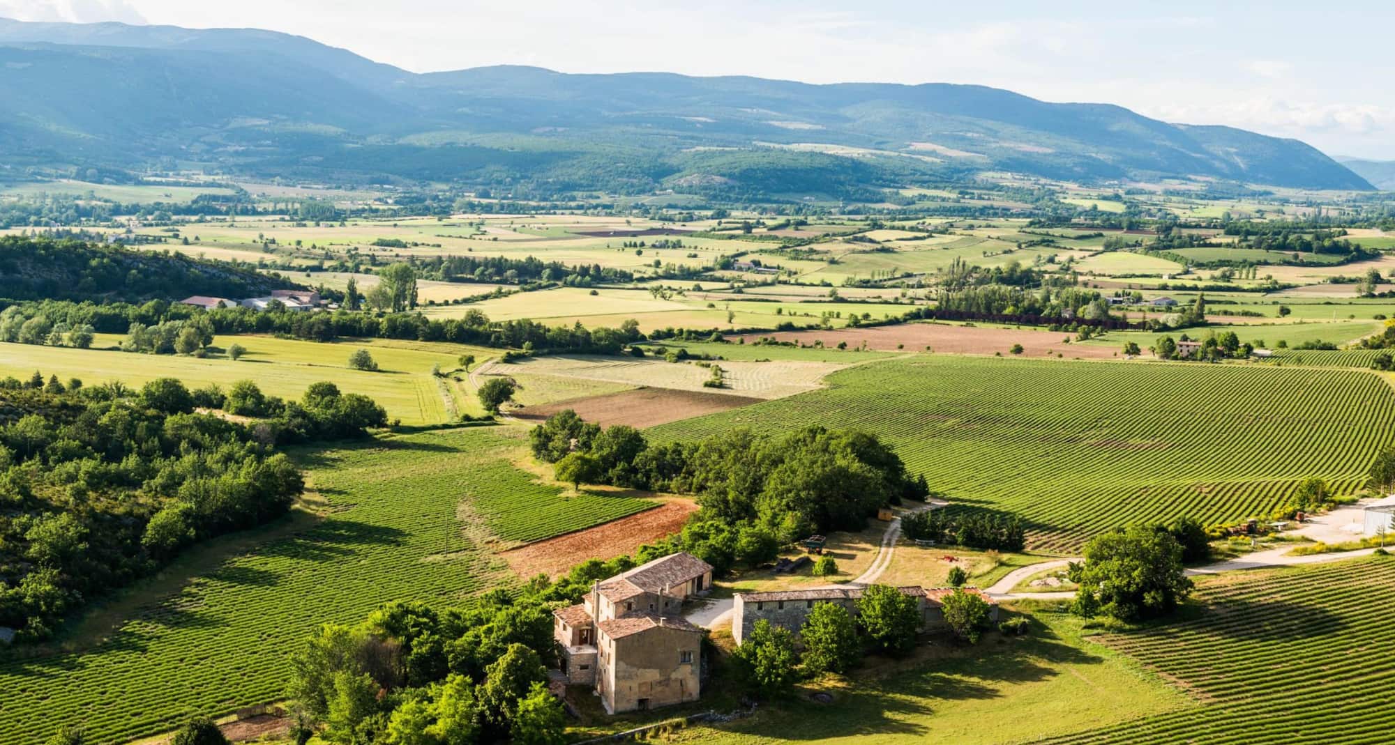GOLDEN TULIP AVIGNON LE PARADOU - Paysage Provenc al jpg