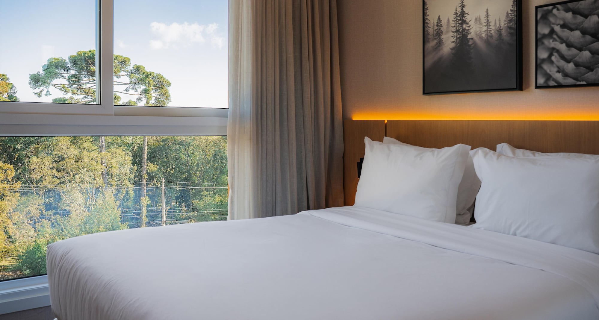 Golden Tulip Canela - Suite Novo
