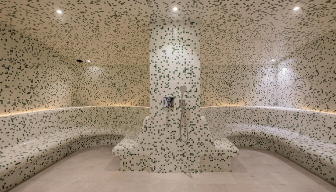 GOLDEN TULIP LYON OUEST - spa sauna