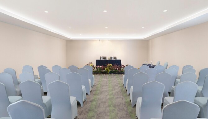 Aster Meeting Room