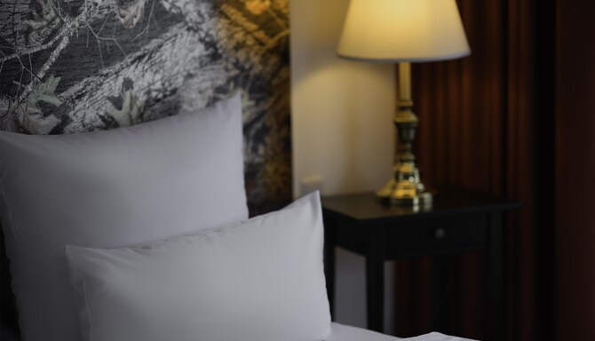 HOTEL AM SCHLOSS KOPENICK BERLIN BY GOLDEN TULIP - BE