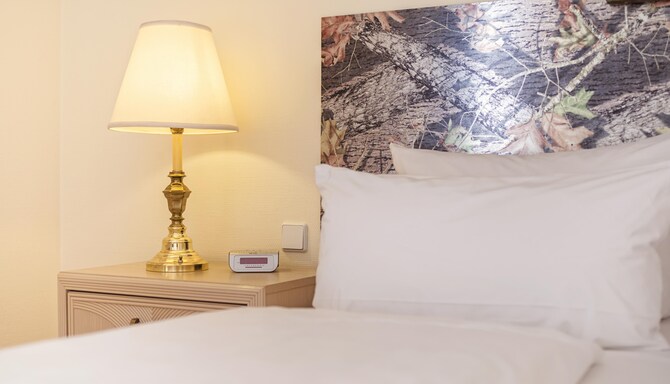 HOTEL AM SCHLOSS KOPENICK BERLIN BY GOLDEN TULIP - Hotel am Schloss Koepenick Berlin by