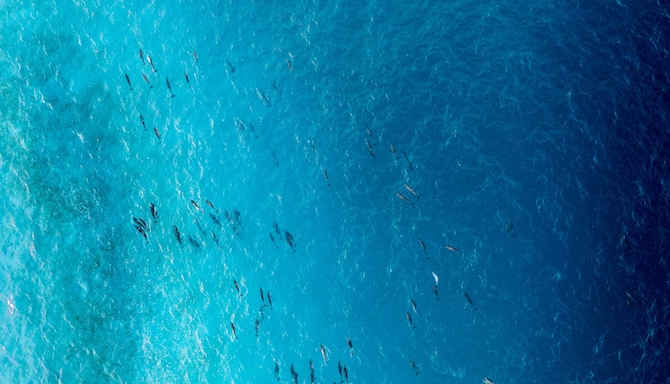 Radisson Blu Resort, Maldives - Dolphins Pods - Aerial view