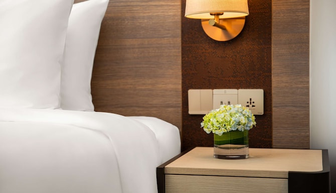Radisson - Guest room detail