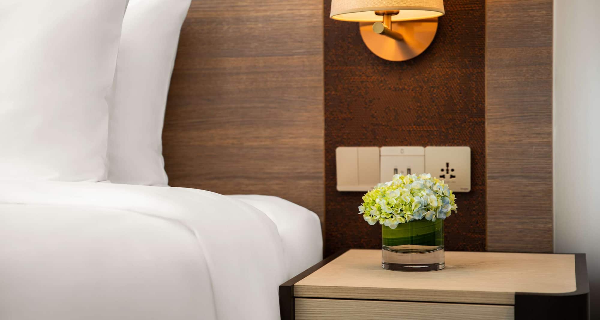 Radisson - Guest room detail