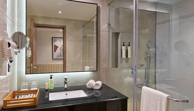Sarovar Portico Gir - Executive washroom