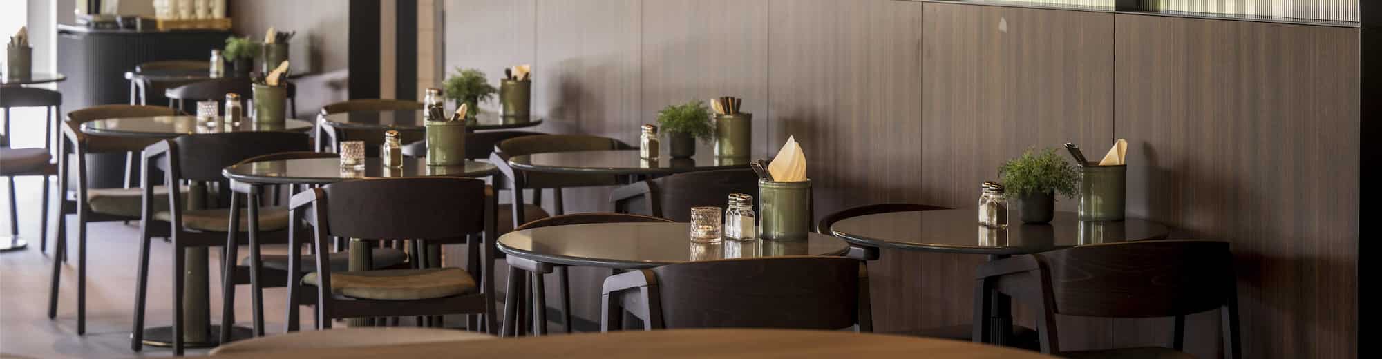 Tulip Hotels and Residences Brand - Hero