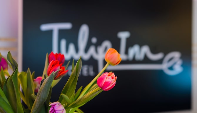 Tulip Inn Ludwigshafen City - K