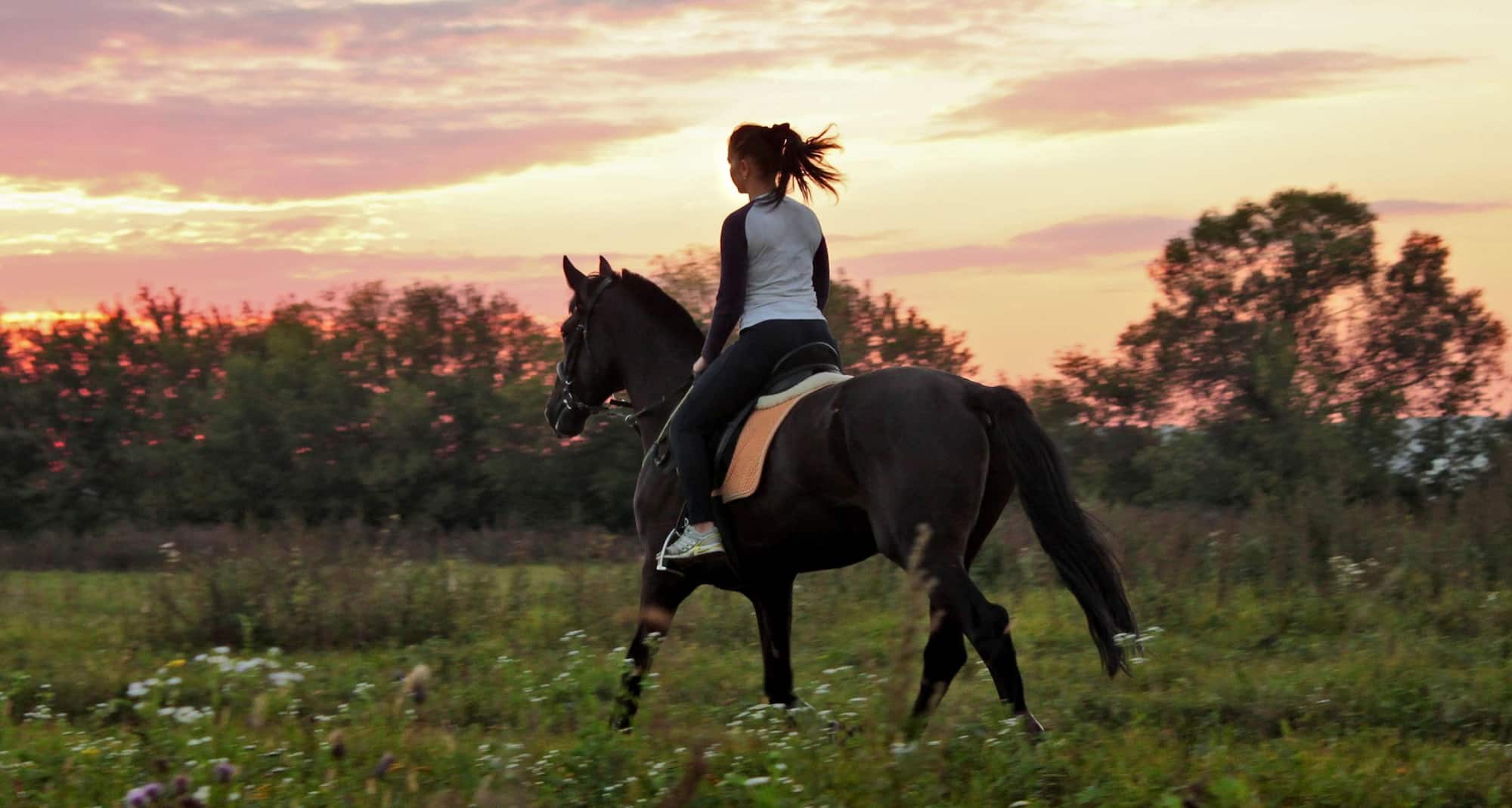 TULIP INN SOFRINO PARK HOTEL - Horse Riding