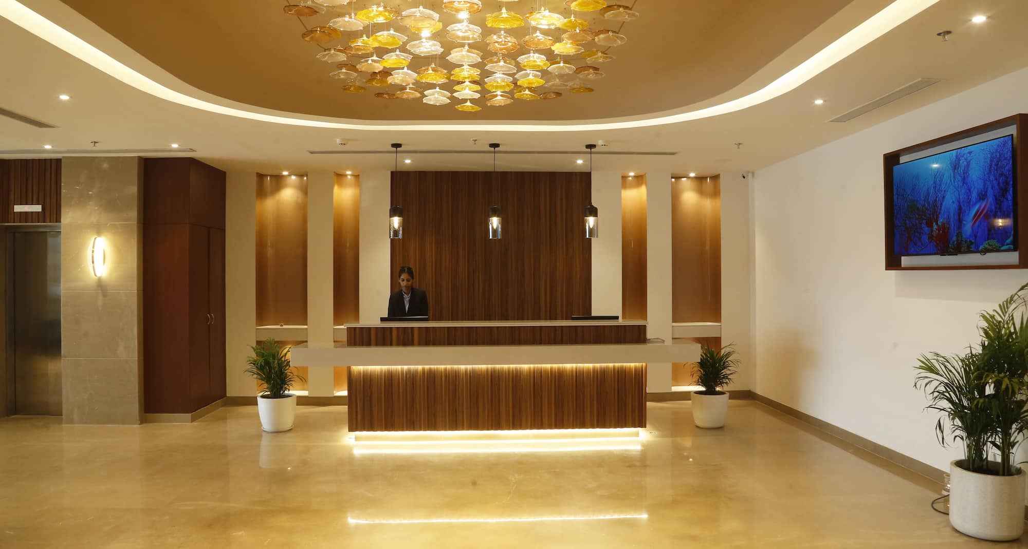 Tulip Inn Zirakpur - Vista para o lobby